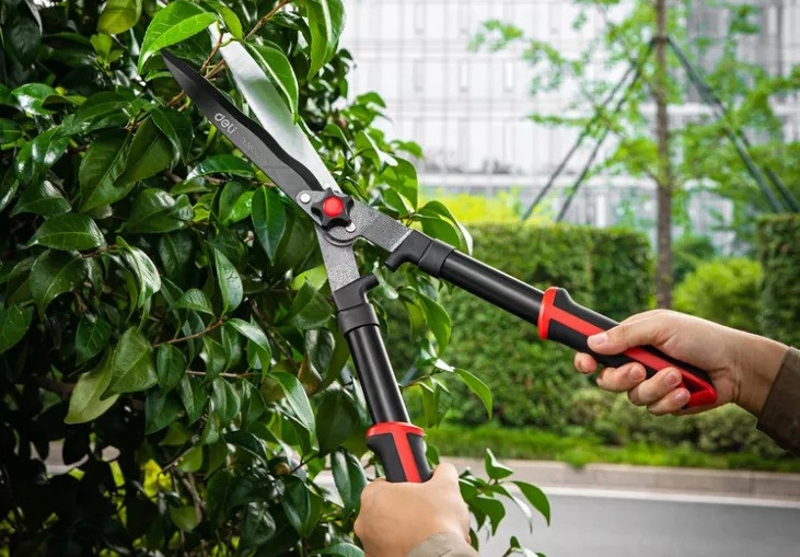 Outil de jardin-Équipement essentiel pour les amateurs d'horticulture